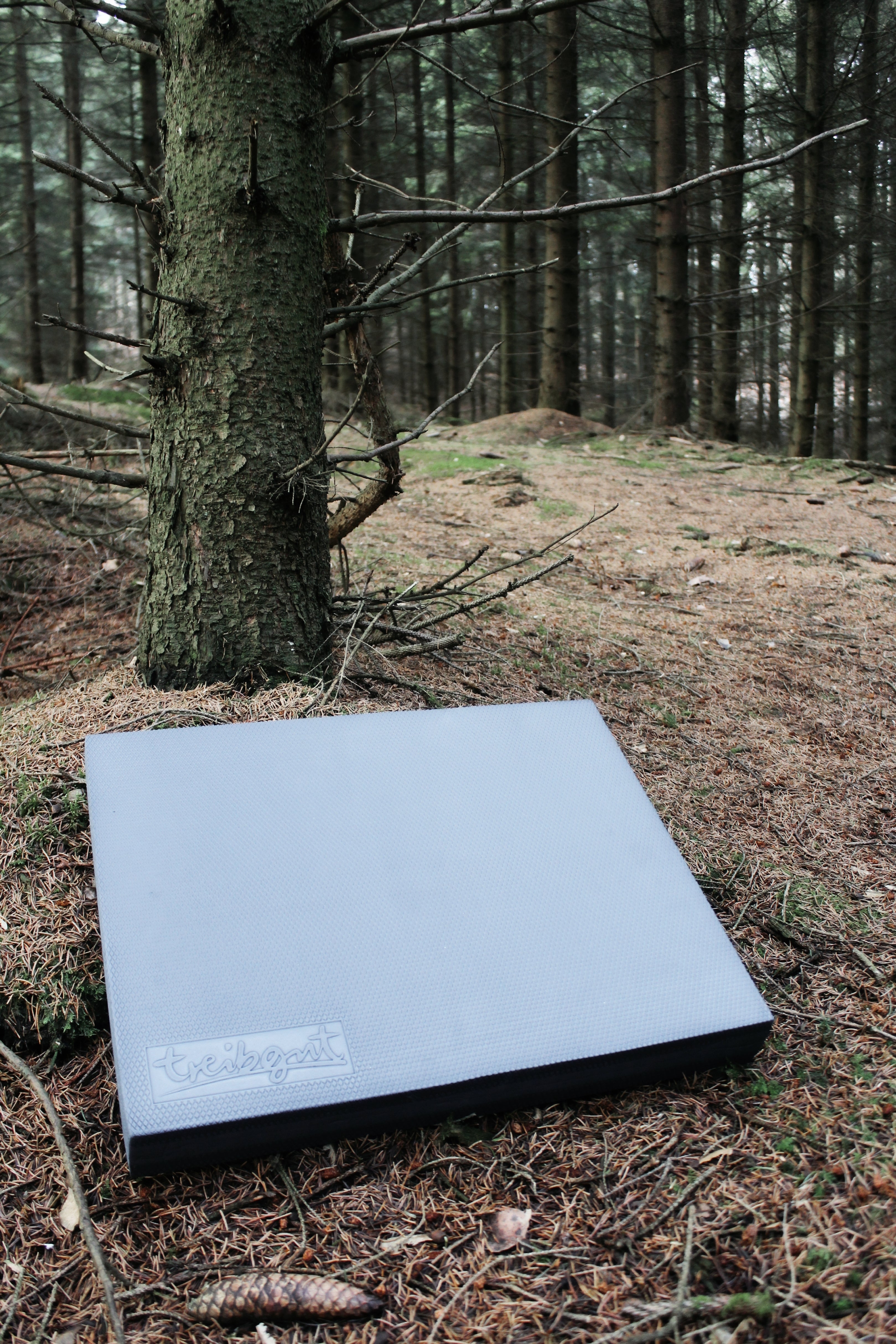 treibgut®-Balancepad